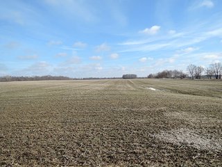 Property photo 5 - LAND AUCTION, 211+/- Acres offered in 3 Tracts